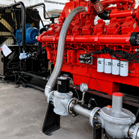 Groupe électrogène silencieux Cummins au gaz naturel 300kW 400kW 500kW 800kW 900kW 1000kW, multi-combustibles GPL Biogaz Gaz Méthane