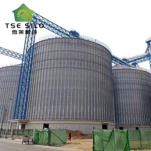 Installation d'isolation <span class=keywords><strong>thermique</strong></span> et de vis d'entraînement pour silo à fond plat pour le riz et le blé avec une capacité de 1000 à 15000 tonnes, certifié ISO9001 CE - Product Image 6