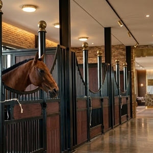 Écurie de luxe <span class=keywords><strong>pour</strong></span> <span class=keywords><strong>chevaux</strong></span> avec porte à charnières et panneaux avant <span class=keywords><strong>en</strong></span> <span class=keywords><strong>bois</strong></span> naturel ou <span class=keywords><strong>en</strong></span> bambou, box équestre <span class=keywords><strong>pour</strong></span> club d'équitation et usage agricole - Product Image 1