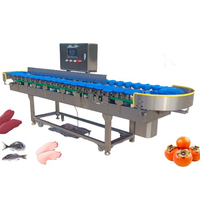 Hoogprecisie fruitgewicht sorteermachine van roestvrij staal voor garnalen