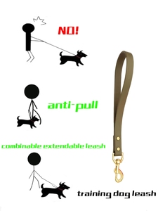 Laisse d'entraînement pour chien anti-traction classique, solide, personnalisée, avec rivets, sangle enduite de PVC, imperméable - Product Image 3