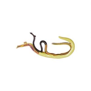 50202.02 Schistosoma in Copula - Product Image 1