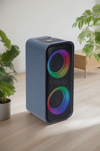 AAWM 派对音箱双6.5 RMS功率带锂电池 PA 低音炮 USB音响系统低音家庭聚会 - Product Image 4