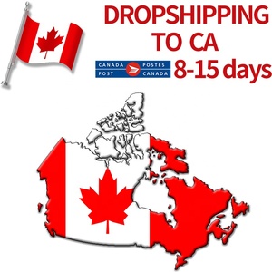 Shopify Fulfillment Agents d'expédition de Chine au Canada Fournisseur de fret aérien à Dropship CA USA Mexique DDP Logistics - Product Image 2