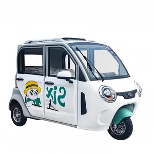 Electric Motorcycle Tricycle 1000W Vehicle Adult Electric Tricycle