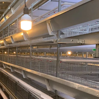 Cage à poulets industrielle en acier inoxydable de type H |   Système d'élevage avicole automatisé haut de gamme à 4 niveaux