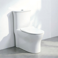 WC en céramique à siphon intégré, design monobloc, puissant jet d'eau, fonctionnement silencieux, économie d'eau, anti-odeurs, fermeture lente, design moderne
