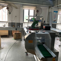 Machine d'emballage horizontale automatique pour biscuits, légumes, fruits, dattes, glaces et sucettes glacées
