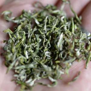 Té Verde Dong <span class=keywords><strong>Ting</strong></span> Biluochun de Primera Calidad, Té de Primavera, en Bolsa/Botella de 1 kg, Envasado al Vacío - Product Image 3