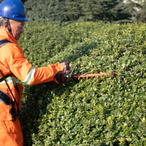 เครื่องตัดขอบลิเธียม N + PLUS เป็นมิตรกับสิ่งแวดล้อมเครื่องตัดป้องกันความเสี่ยงชาร์จไฟได้แบบพกพาที่มีประสิทธิภาพ - Product Image 5