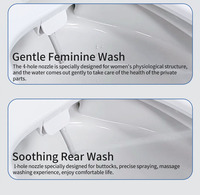 Siège de toilette bidet auto-nettoyant en matériau UF, forme D, double buse, personnalisable, vente en gros