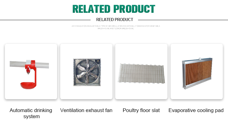 Broiler Chicken Farming Equipment 380v With 1 Year Warranty