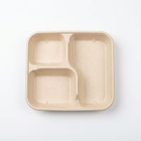 Hete Aanbieding Vierkante 3-Vaks Suikerriet Bagasse Lunchbox Driedelige Wegwerp Voedselcontainer Meal Prep Afhaalmaaltijd 1000ml