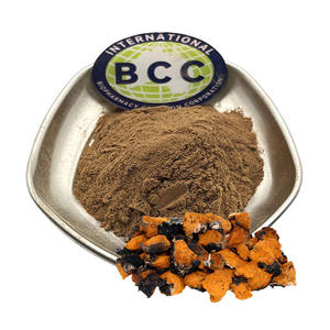 Estratto di Fungo Chaga in Polvere, Estratto di Polisaccaridi di Chaga in Bulk - Product Image 1