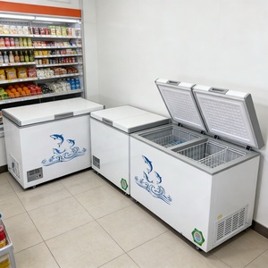 <b>12V</b> DC/AC Solar Chest Deep Freezer Single Door Top Open Mechanical Compressor Ice Refrigerator With RIS Mobile Home <b>Fridge</b> Freez - Product Image 1