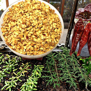 Semillas de pimentón dulce y <span class=keywords><strong>Cayena</strong></span>-Producto de verduras secas - Product Image 4