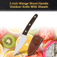 10% de réduction sur les couteaux Full-Tang de 3 pouces avec logo personnalisé, couteau de survie, couteaux de camping en plein air avec gaine en cuir