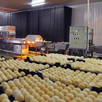 Projet clé en main personnalisé pour 30 000 poulets reproducteurs, aménagement ajustable de la poulailler, élevage avicole entièrement automatique