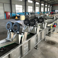 Groente- en fruit sorteer-, was-, droog- en verwerkingslijn, grote capaciteit spinazie- en romaine sla-wasmachine