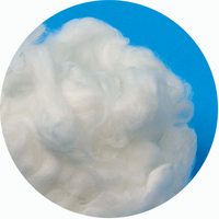 2D*51mm Flame Retardant Fiber for Hair Extension