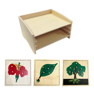 Matériel Montessori en bois, équipement pédagogique, armoire de puzzle botanique Montessori, jouets préscolaires pour enfants, Montessori Bois - Product Image 2