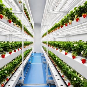 Fábrica de Plantas Interior Inteligente con Control Climático, Luz LED para Cultivo, Contenedor Móvil para Cultivo de Fresas - Product Image 6