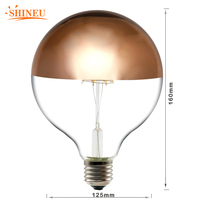 Ampoule LED Edison G125 ABS E27 4W/6W Dimmable Blanc Chaud 2700K Télécommande DC Globe Vintage Certifiée CE Garantie 1 An IRC85