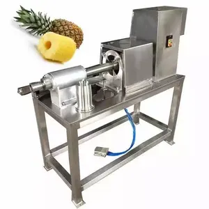 Ananas Juicer Machine Ananassap Fabriek Gebruik Ananas Schillen En Kernkern Machine