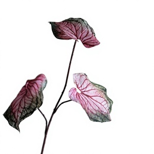 Caladium Artificiale a Stelo Lungo, Ramo Finto con Foglie Variegato a <span class=keywords><strong>Cuore</strong></span> per Composizioni Floreali da Vaso, Decorazioni Verdi per Matrimoni e Casa - Product Image 6