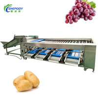 Shepody Automatische Fruit- en Groentesorteermachine Professionele Groente-gradueermachine voor Aardappel Wortel Pompoen Aubergine