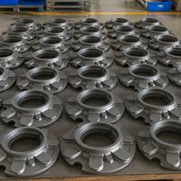 Boîtier de boîte de vitesses en fonte ductile GGG50 sur mesure, usiné CNC, pièces moulées en fonte de graphite sphéroïdal pour machines