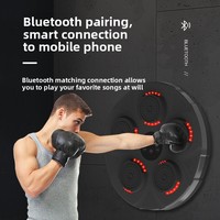 Cible de boxe musicale intelligente en gros, machine de frappe électronique suspendue en ABS, équipement d'entraînement de boxe pour enfants, utilisation domestique murale