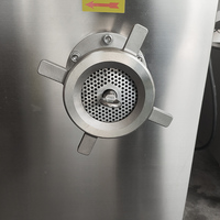 YouBan Commerciële Vriesvleesmolen en Gehele Pluimveemolen met Multifunctioneel Puree-maaksysteem voor Fruit en Groenten