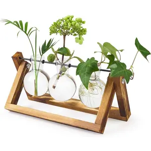 植物玻璃容器，带木制支架灯泡花瓶花盆玻璃，用于植物水培家庭办公桌
