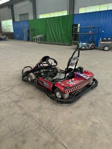 <span class=keywords><strong>Go</strong></span>-<span class=keywords><strong>Kart</strong></span> a Benzina di Fabbrica 200CC/270CC/390CC, Veicoli <span class=keywords><strong>Go</strong></span>-<span class=keywords><strong>Kart</strong></span> ad Alte Prestazioni Singoli e Doppi - Product Image 1