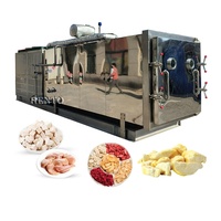 Fabrieksleverancier van fruit vacuümvriesdroogmachines / vriesdroogmachines voor voedsel / vriesdroogmachines