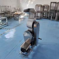 Hoge Efficiëntie Gemotoriseerde Fruit- en Groentepers Industriële Verse Sap Persmachine Hoge Productiviteit 10000kg/u