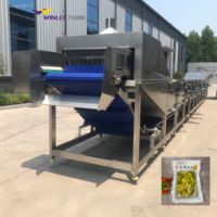 Pasteurisateur à Bain-Marie Prix Usine pour Sachets Alimentaires et Tofu