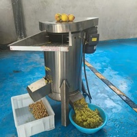 Verticale ontpitter en pureermachine - Industriële fruit- en groentepulper met capaciteit 220V
