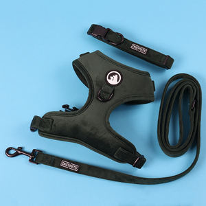 Set <span class=keywords><strong>Harnesses</strong></span> Anjing Beludru Fashion Terbaru, Kalung dan Tali Anjing Logam Emas, <span class=keywords><strong>Harnesses</strong></span> Anjing Beludru Lembut Kelas Atas Custom - Product Image 5