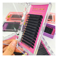 Boîte d'emballage de cils avec étiquette privée personnalisée pour extensions de cils incurvés J B C CC D DD L de qualité supérieure vente en gros