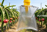 Piège à mouches suspendu efficace, sûr et écologique. Idéal pour les vergers et les fermes afin de protéger les produits. Durabl