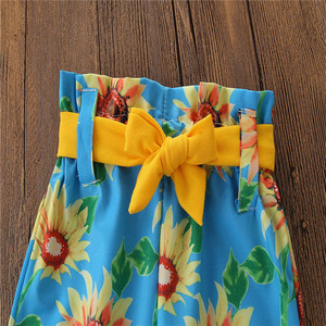เสื้อผ้าเด็กขายส่ง แฟชั่นปี 2019 เสื้อผ้าเด็กผู้หญิงสำหรับฤดูร้อน - Product Image 5