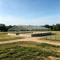 Structure en acier galvanisé à chaud moderne, haute résistance, résistante au vent et aux tremblements de terre, poulailler préfabriqué, hangar pour volailles