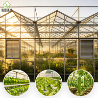 Kits de serres de jardin multi-chapelles en verre de grande taille avec bâche PE anti-âge, taille personnalisable, ventilation intelligente, pour usage agricole et culture de légumes