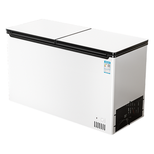 Équipement <span class=keywords><strong>de</strong></span> réfrigération BC/BD-450A798LS, <span class=keywords><strong>congélateur</strong></span> horizontal commercial vertical <span class=keywords><strong>de</strong></span> petite capacité, congélation rapide - Product Image 2