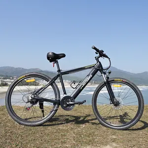 Vélo électrique de montagne le moins cher en vente chaude 25-45 km/h 60-90KM de portée 36v 48v 250w 350w 500w 750w 1000w e bike vélo électrique