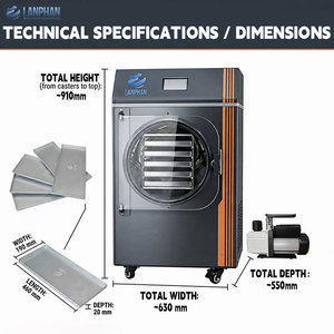Deshidratador de Alimentos Automático de 5 Bandejas, Capacidad de 4-6 kg, para Uso Doméstico y Comercial Pequeño, Ahorro de Energía, Deshidratación de Frutas y Verduras - Product Image 4