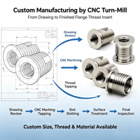 Custom Manufacturing Stainless Steel Flange Thread Insert / Flange Insert Nut Made in China