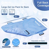 Compresse froide et chaude multifonction pour les hanches et le dos, sac de glace pour soulager la douleur, physiothérapie à domicile, coussin en flanelle rafraîchissant réutilisable, classe II